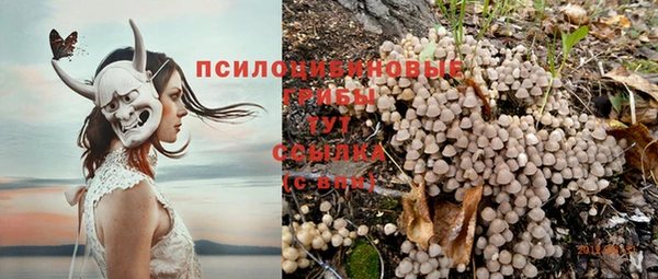 стафф Горнозаводск