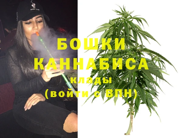 стафф Горнозаводск